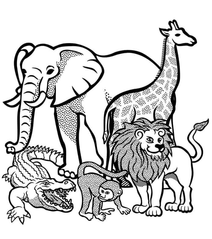 Desenhos de animais para colorir e imprimir