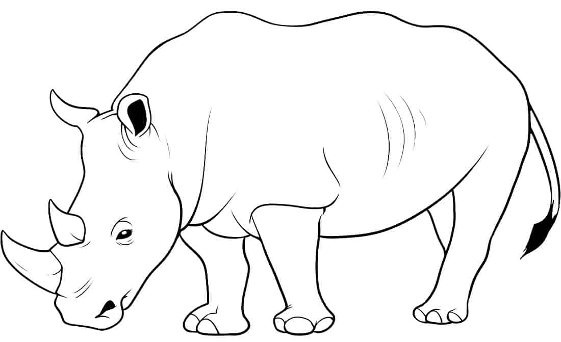 Desenhos de animais para colorir e imprimir