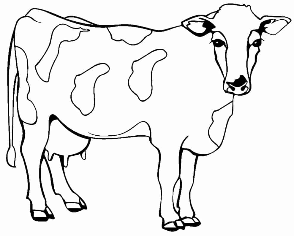 Desenhos de animais da fazenda para colorir