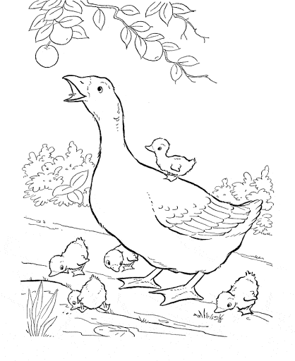 Desenhos de animais da fazenda para colorir