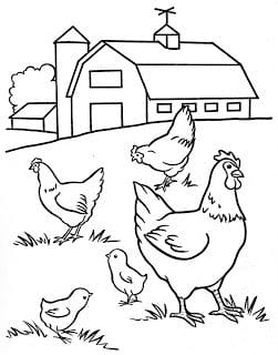 Desenhos de animais da fazenda para colorir