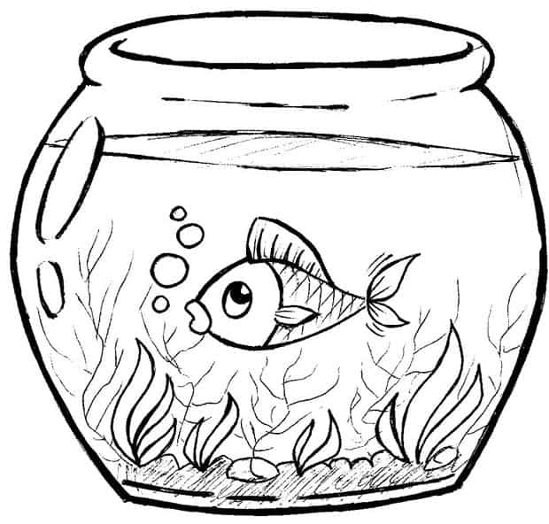 Peixinhos para colorir - 25 desenhos lindos