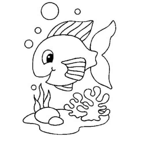 Peixinhos para colorir - 25 desenhos lindos