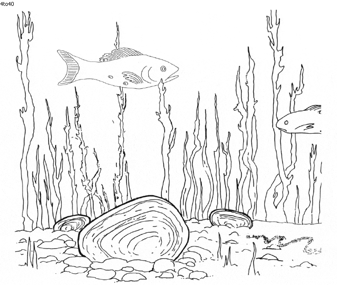 Peixinhos para colorir - 25 desenhos lindos