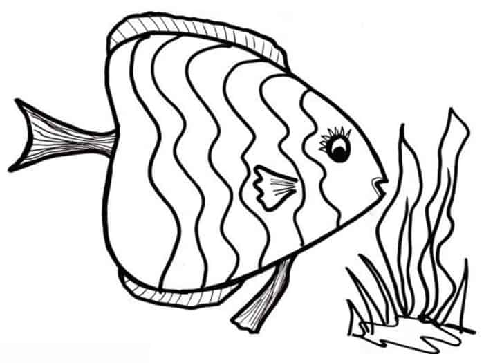 Peixinhos para colorir - 25 desenhos lindos