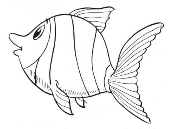 Peixinhos para colorir - 25 desenhos lindos