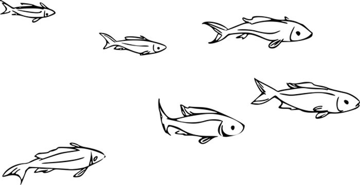 Peixinhos para colorir - 25 desenhos lindos