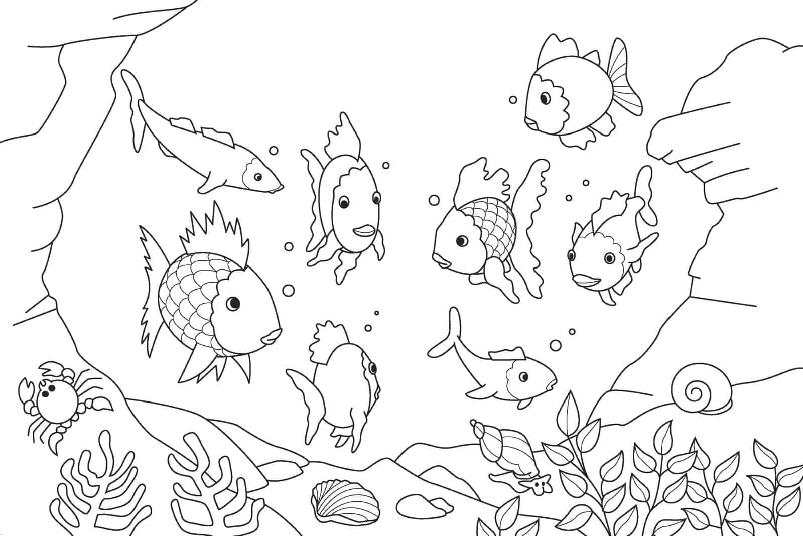 Peixinhos para colorir - 25 desenhos lindos