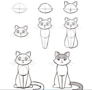 Como desenhar um gato