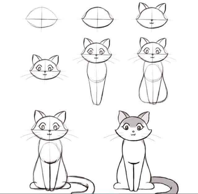 Como desenhar um gato