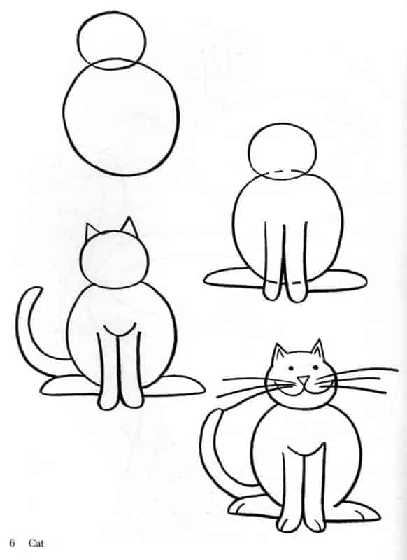 Como desenhar um gato