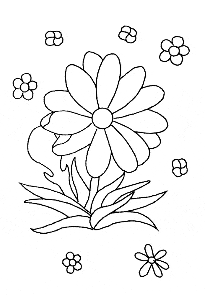 Desenhos de flores para colorir