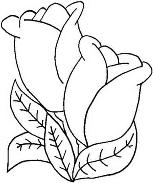 Desenhos de flores para colorir