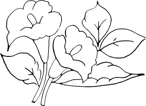 Desenhos de flores para colorir