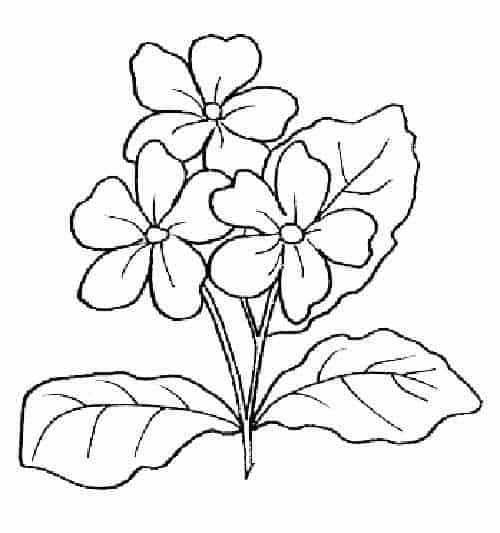 Desenhos de flores para colorir