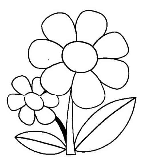 Desenhos de flores para colorir