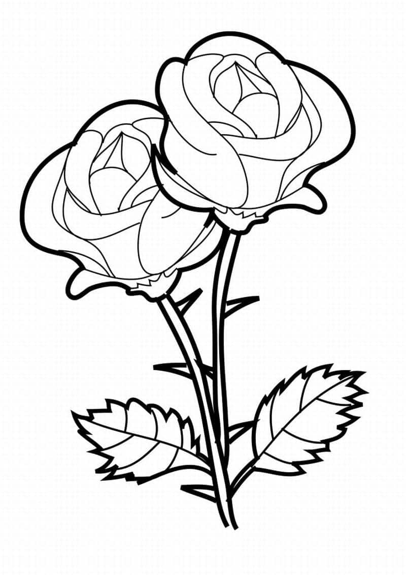 Desenhos de flores para colorir