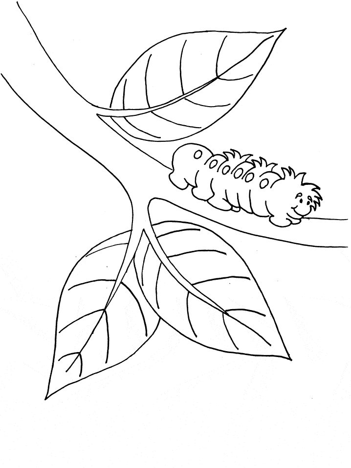 Desenhos de lagarta para colorir