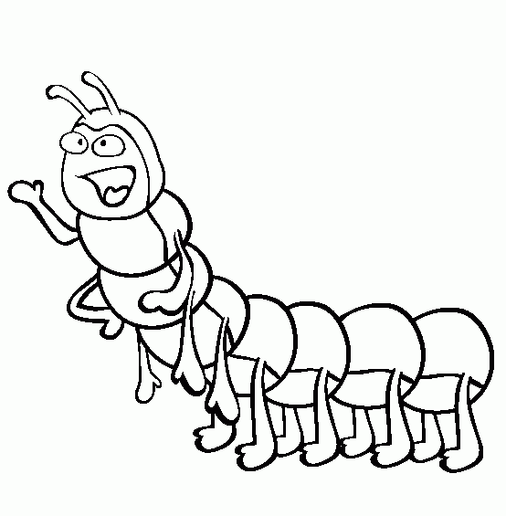 Desenhos de lagarta para colorir