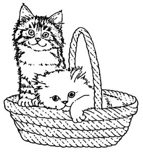 Gatos para colorir