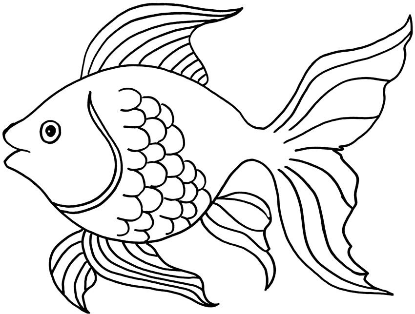 Peixes para colorir