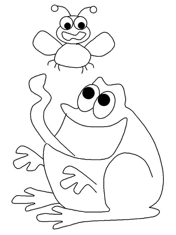 Sapo para colorir