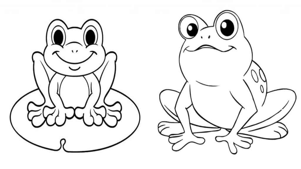 Sapo para colorir