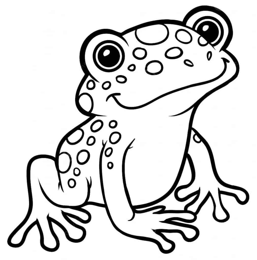 Sapo para colorir