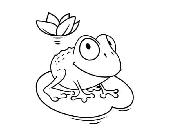 Sapo para colorir