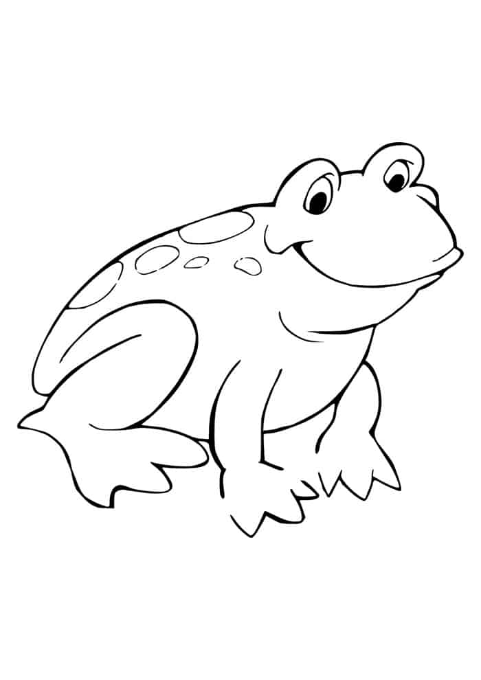 Sapo para colorir
