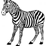 Zebra para colorir