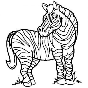 Zebra para colorir