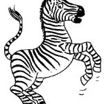 Zebra para colorir