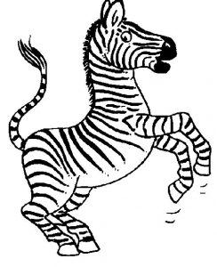 Zebra para colorir