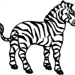 Zebra para colorir