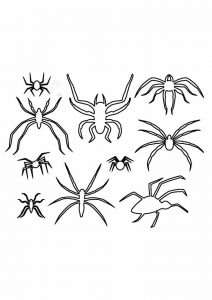 Aranha para colorir e pintar