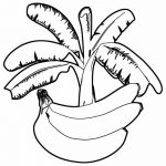 Desenhos de banana para colorir