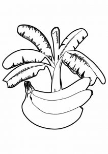 Desenhos de banana para colorir