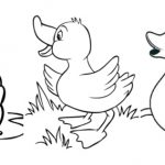 Desenhos de pato para imprimir e colorir