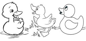 Desenhos de pato para imprimir e colorir