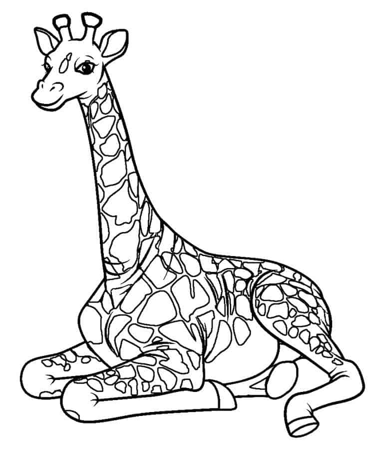 Girafa para colorir