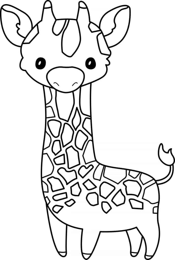 Girafa para colorir