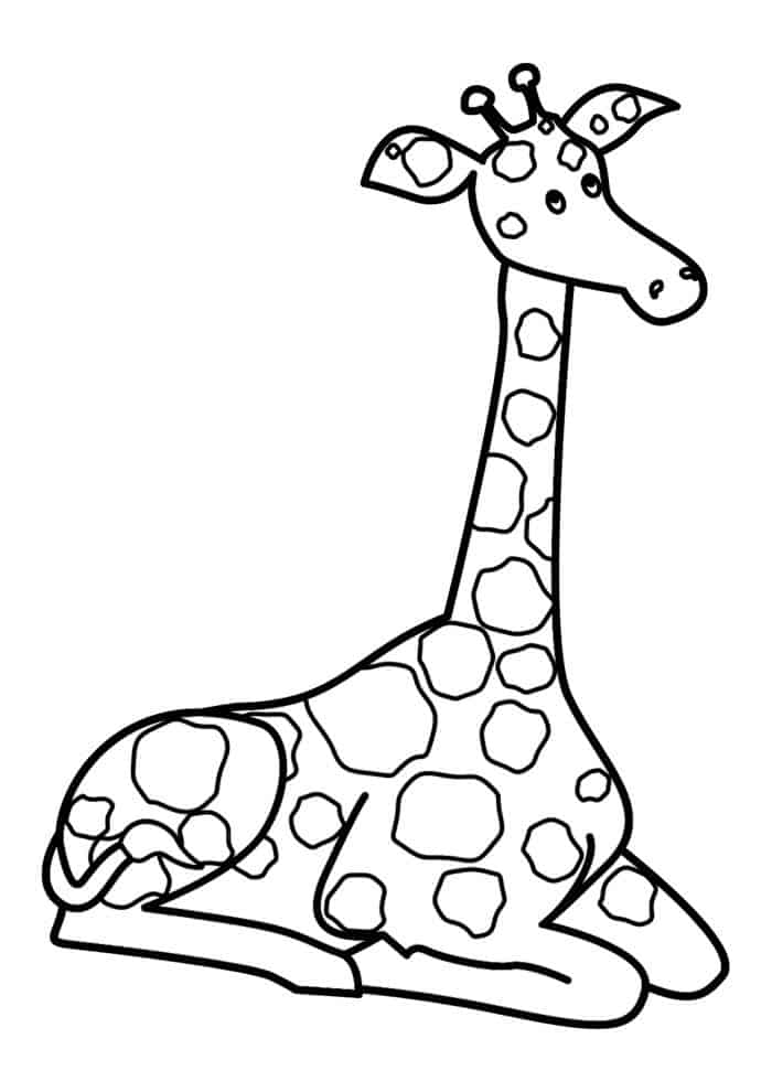 Girafa para colorir