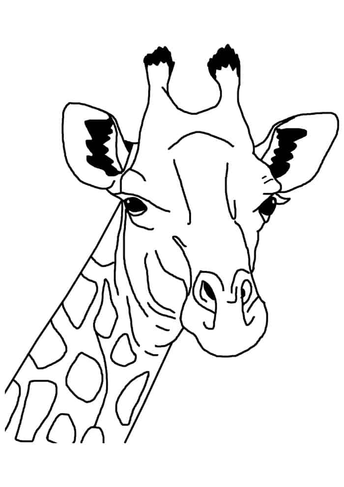 Girafa para colorir