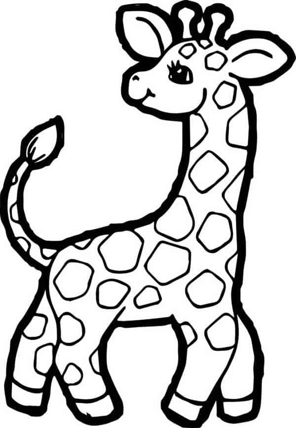 Girafa para colorir