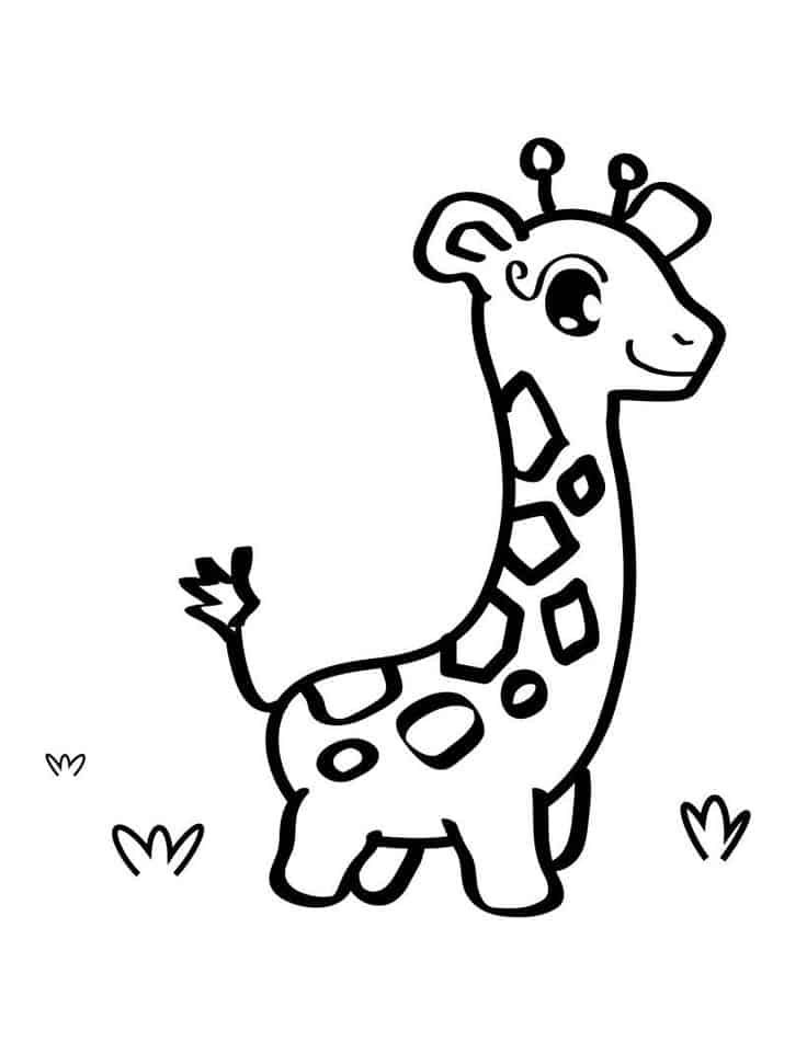 Girafa para colorir