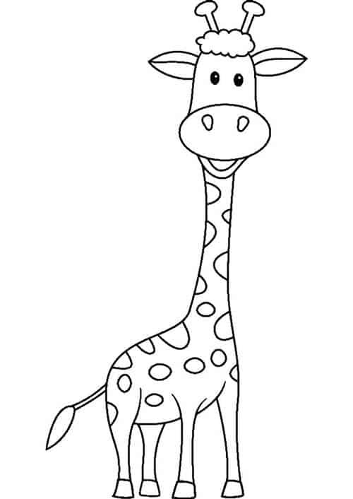 Girafa para colorir