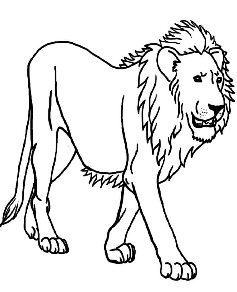 Leão para colorir