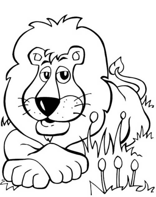 Leão para colorir