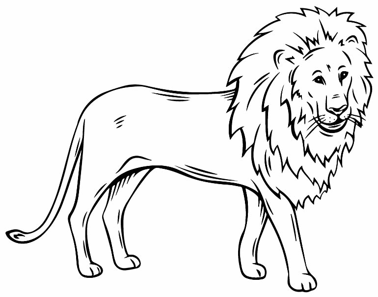 Leão para colorir